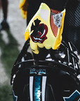 Bumblebees